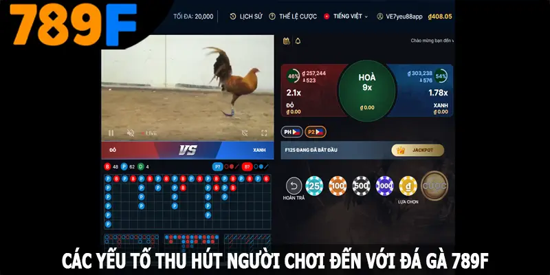 Các yếu tố thu hút người chơi đến với đá gà 789F Các yếu tố thu hút người chơi đến với đá gà 789F