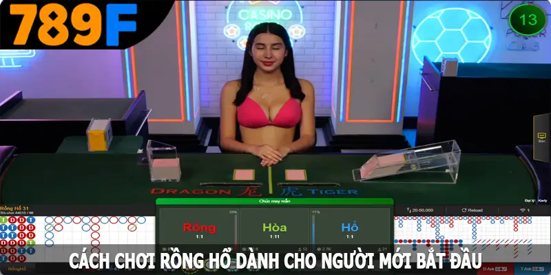 Cách chơi rồng hổ dành cho người mới bắt đầu Cách chơi rồng hổ dành cho người mới bắt đầu