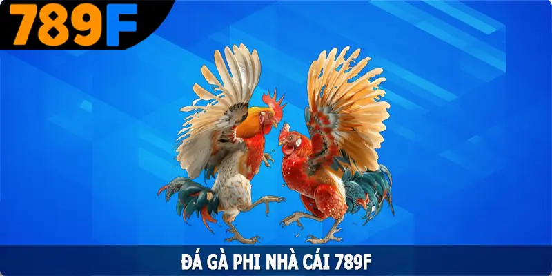 Đá Gà Phi - Hình Thức Giải Trí Hấp Dẫn Hàng Đầu Tại 789F 5 Đá Gà Phi - Hình Thức Giải Trí Hấp Dẫn Hàng Đầu Tại 789F