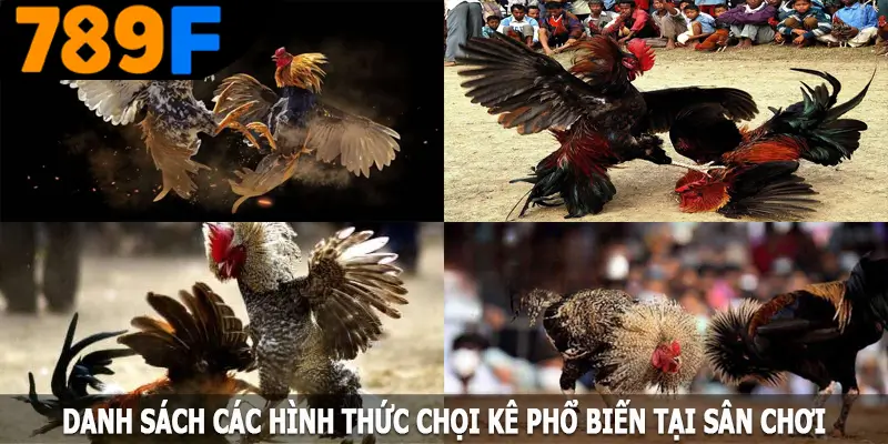 Danh sách các hình thức chọi kê phổ biến tại sân chơi Danh sách các hình thức chọi kê phổ biến tại sân chơi