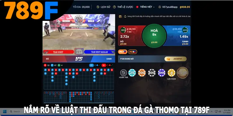 Nắm rõ về luật thi đấu trong đá gà Thomo tại 789F Nắm rõ về luật thi đấu trong đá gà Thomo tại 789F