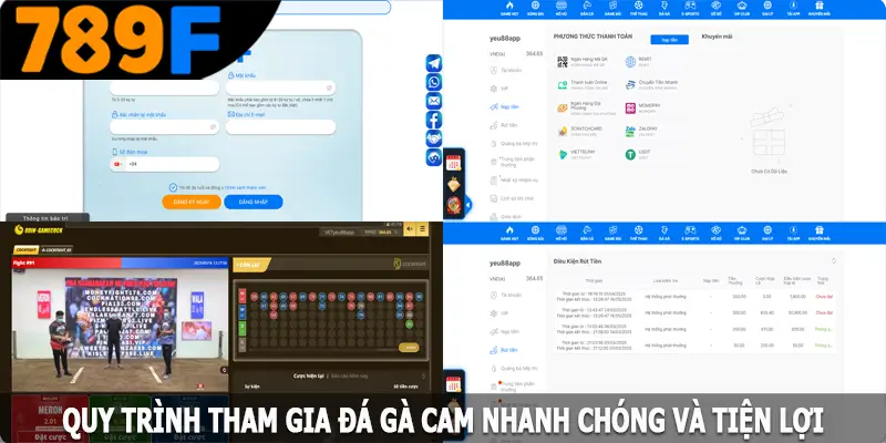 Quy trình tham gia đá gà Cam nhanh chóng và tiện lợi quy trinh tham gia da ga cam nhanh chong va tien loi