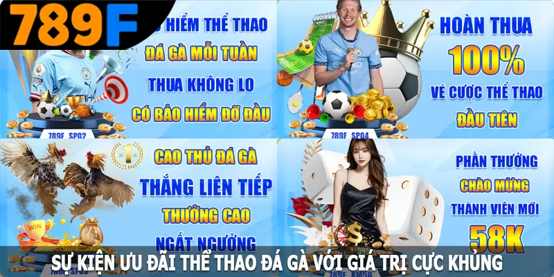 Sự kiện ưu đãi thể thao đá gà với giá trị cực khủng Sự kiện ưu đãi thể thao đá gà với giá trị cực khủng