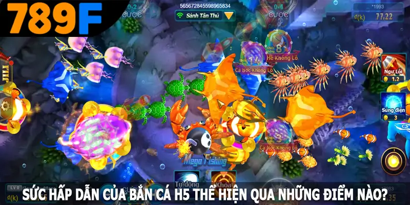 Sức hấp dẫn của bắn cá H5 thể hiện qua những điểm nào? Sức hấp dẫn của bắn cá H5 thể hiện qua những điểm nào?