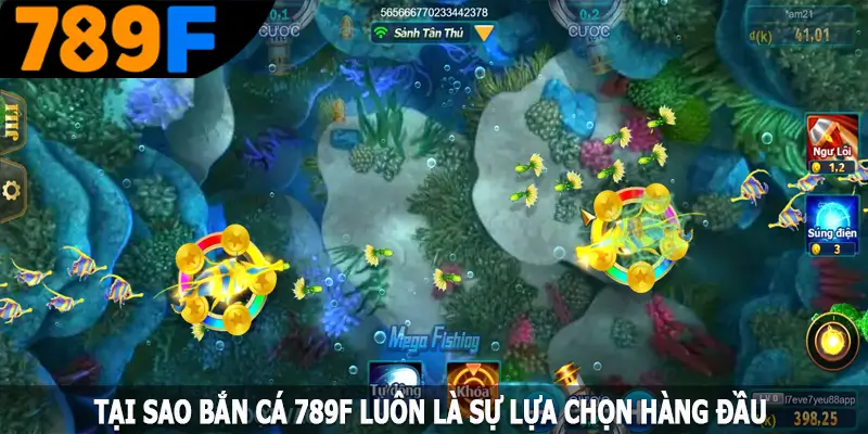 Tại sao bắn cá 789F luôn là sự lựa chọn hàng đầu của người chơi Tại sao bắn cá 789F luôn là sự lựa chọn hàng đầu của người chơi
