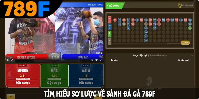 Tìm hiểu sơ lược về sảnh đá gà 789F Tìm hiểu sơ lược về sảnh đá gà 789F