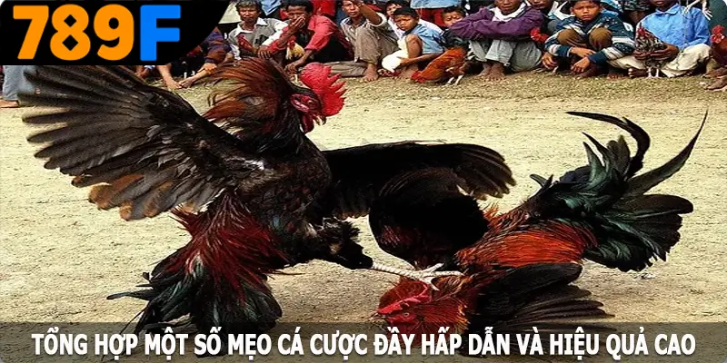 Tổng hợp một số mẹo đầy hấp dẫn và hiệu quả cao Tổng hợp một số mẹo đầy hấp dẫn và hiệu quả cao