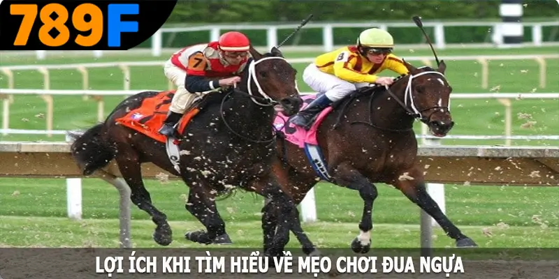 Lợi ích khi tìm hiểu về mẹo chơi đua ngựa Lợi ích khi tìm hiểu về mẹo chơi đua ngựa