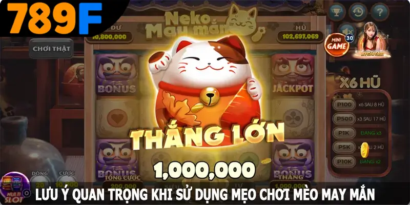 Lưu ý quan trọng khi sử dụng mẹo chơi mèo may mắn từ cao thủ Lưu ý quan trọng khi sử dụng mẹo chơi mèo may mắn từ cao thủ