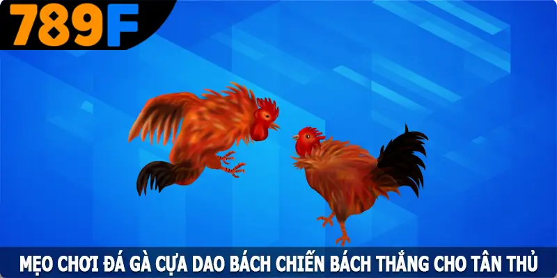 Mẹo Chơi Đá Gà Cựa Dao Bách Chiến Bách Thắng Cho Tân Thủ 1 Mẹo Chơi Đá Gà Cựa Dao Bách Chiến Bách Thắng Cho Tân Thủ