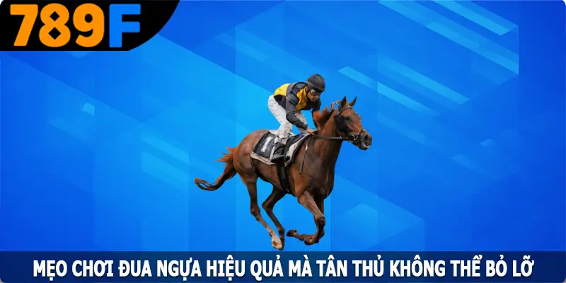 Mẹo Chơi Đua Ngựa Hiệu Quả Mà Tân Thủ Không Thể Bỏ Lỡ 1 Mẹo Chơi Đua Ngựa Hiệu Quả Mà Tân Thủ Không Thể Bỏ Lỡ