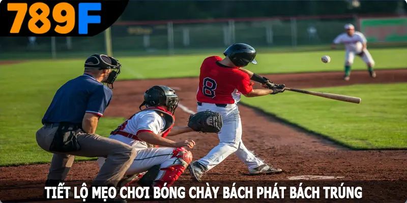 Tiết lộ mẹo chơi bóng chày bách phát bách trúng Tiết lộ mẹo chơi bóng chày bách phát bách trúng